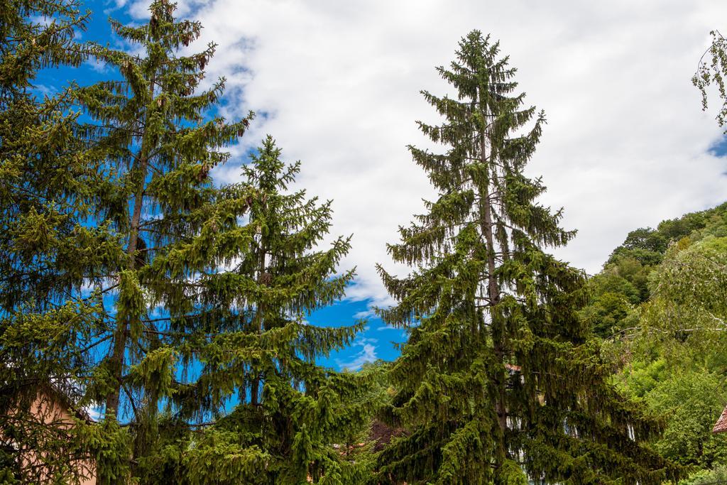 Gec Hotel Zapresic Bagian luar foto